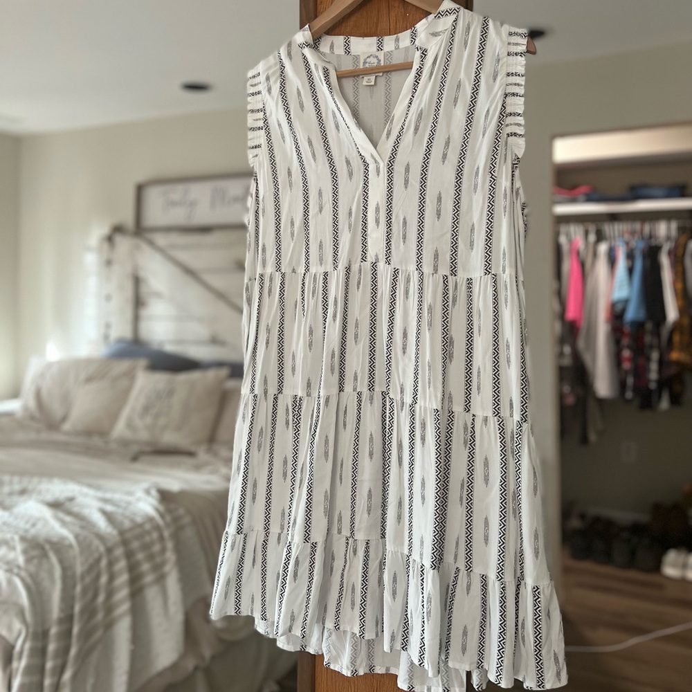 Francesca’s shirt dress
